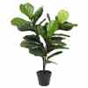 Bilde av Fiddle Leaf Fig Tree 100cm Indoor