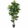 Bilde av Fiddle Leaf Fig Tree 190cm Indoor