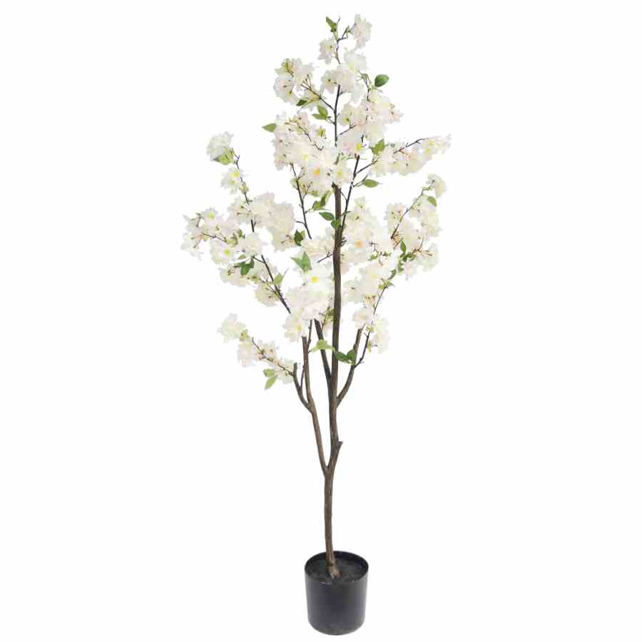Bilde av Slim Cherry Blossom Tree 180CM White