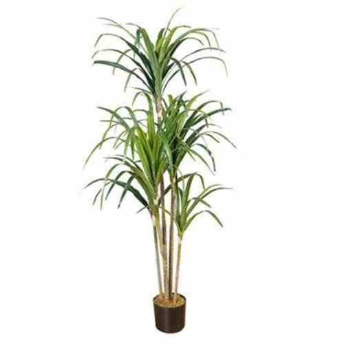 Bilde av Premium Agave Tree 150CM Indoor