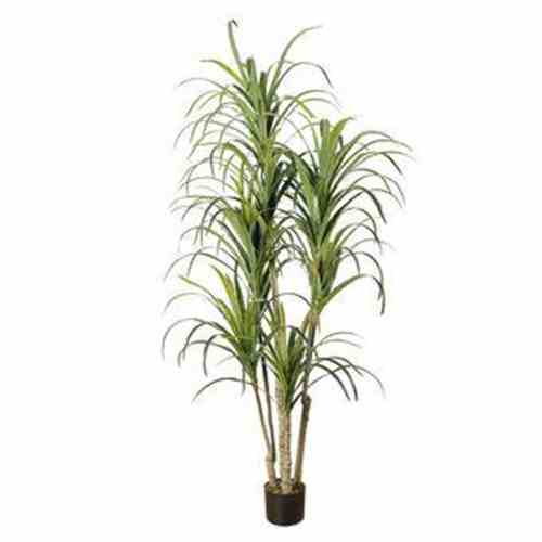 Bilde av Premium Agave Tree 180CM Indoor