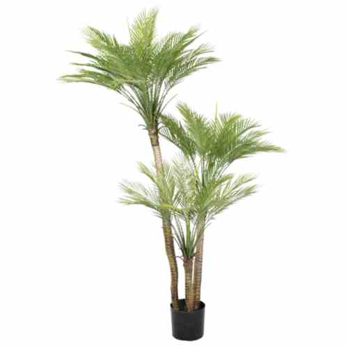 Bilde av Slim Palm Triple Trunk Outdoor UV Protected 180CM