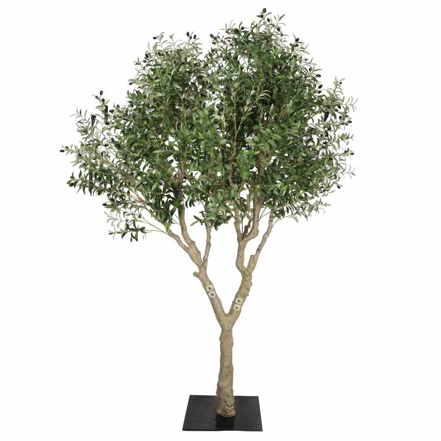 Bilde av Olive Tree 240cm bredde 160cm Outdoor UV Protected