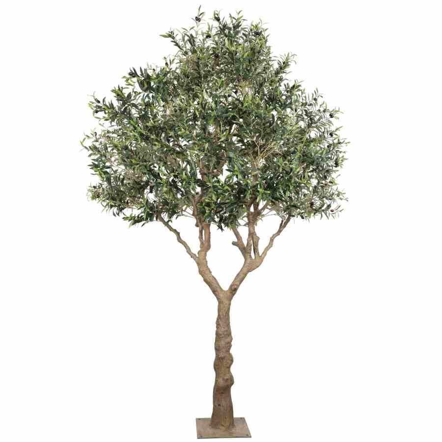 Bilde av Olive Tree Disassembled 300CM Indoor KD