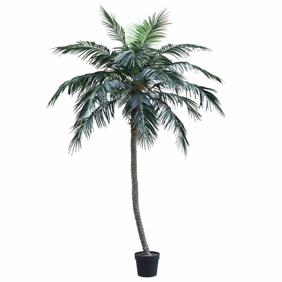 Bilde av Premium Artificial Phoenix Palm 300CM Indoor