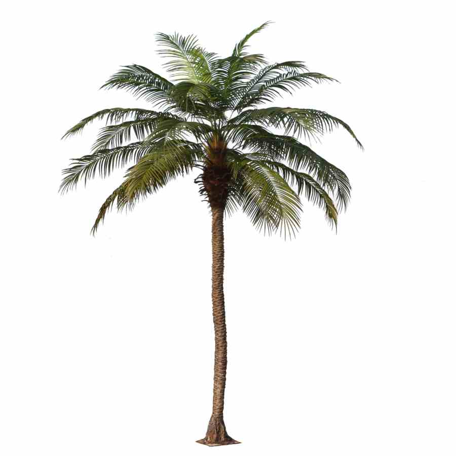 Bilde av Premium Artificial Phoenix Palm 350CM Indoor