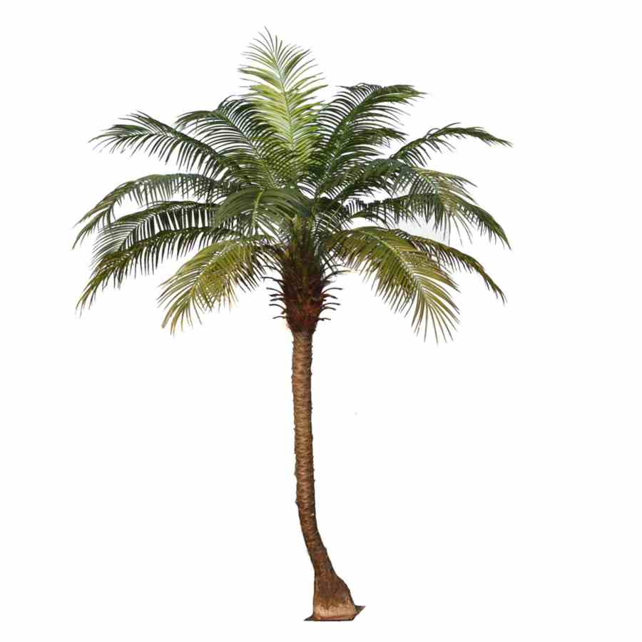 Bilde av Premium Artificial Phoenix Palm Base 280CM with Metal Plate