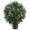 Bilde av Bay Laurel Tree / Ball Ø40cm H57cm Indoor / Outdoor