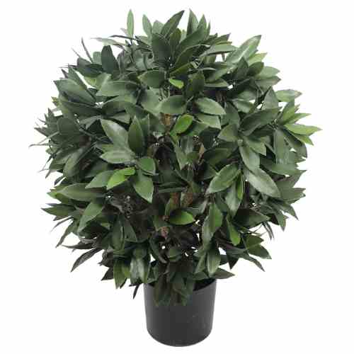Bilde av Bay Laurel Tree / Ball Ø40cm H57cm Indoor / Outdoor