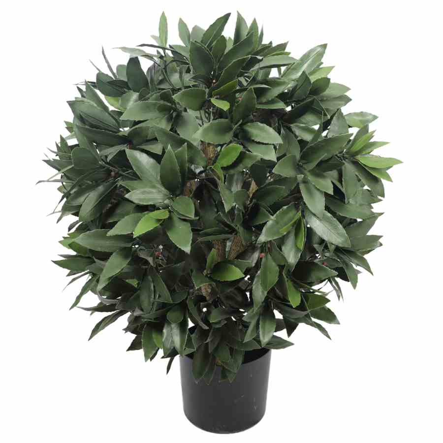 Bilde av Bay Laurel Tree / Ball Ø40cm H57cm Indoor / Outdoor