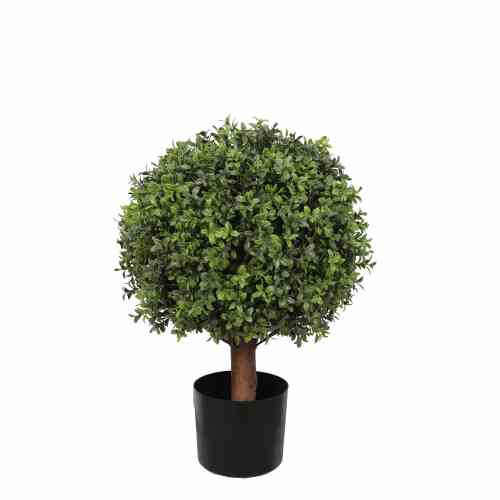 Bilde av Buxus Ball Tree with Short Trunk Outdoor UV Prot Ø40 H65