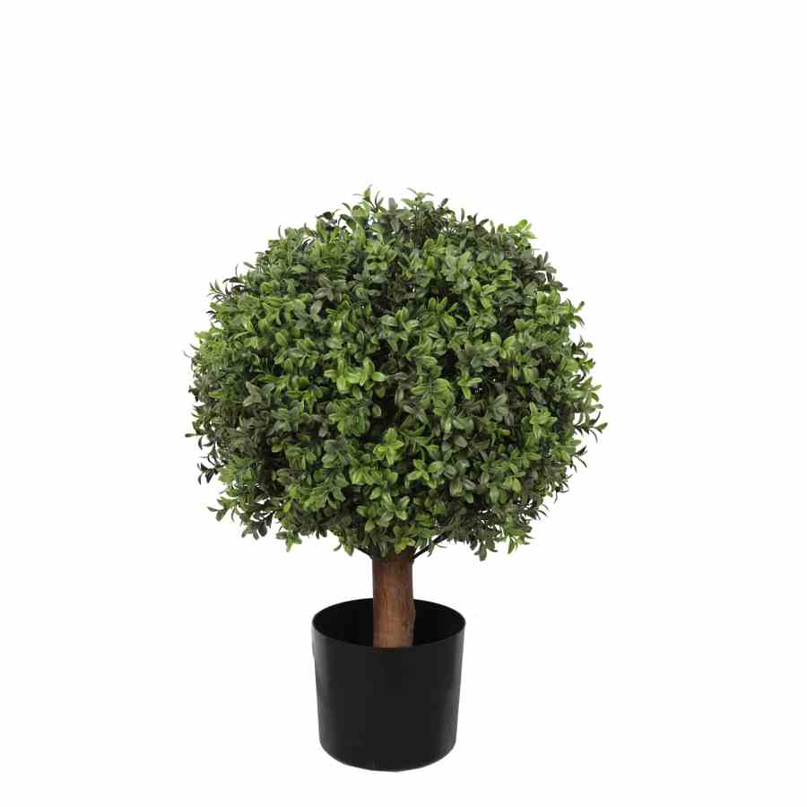 Bilde av Buxus Ball Tree with Short Trunk Outdoor UV Prot Ø40 H65