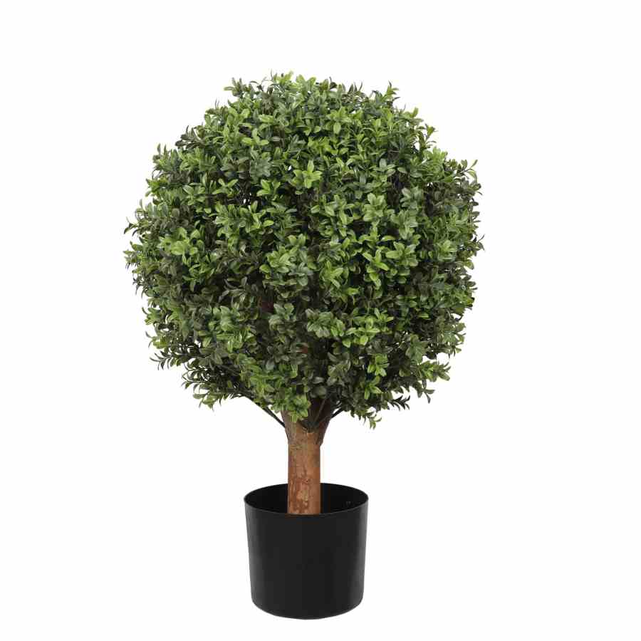 Bilde av Buxus Ball Tree with Short Trunk Outdoor UV Prot H75