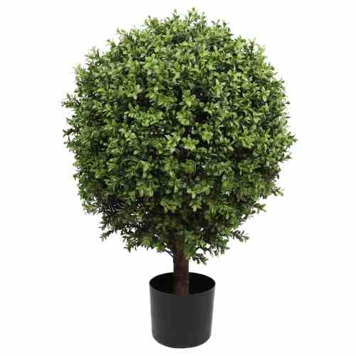 Bilde av Buxus Ball Tree with Short Trunk Outdoor UV Prot Ø60 H85
