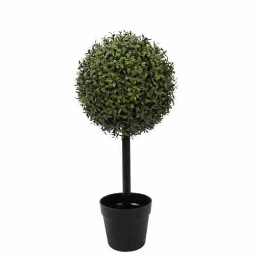 Bilde av 60CM Height Buxus Single Ball Tree Ø30CM H60