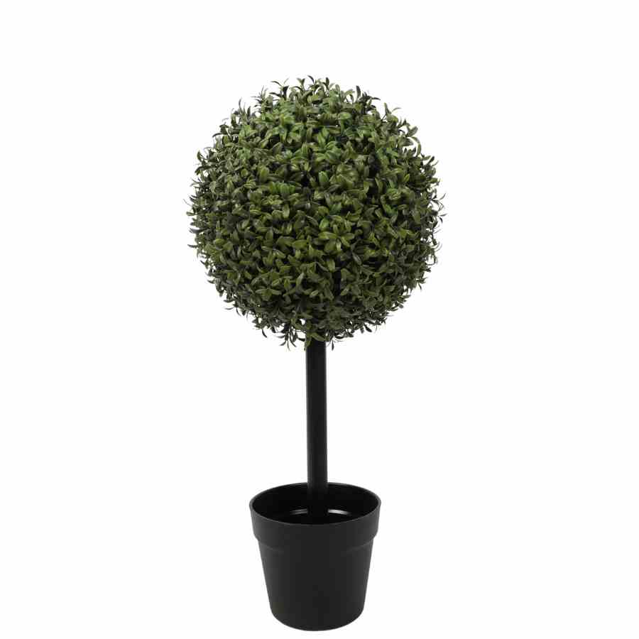 Bilde av 60CM Height Buxus Single Ball Tree Ø30CM H60