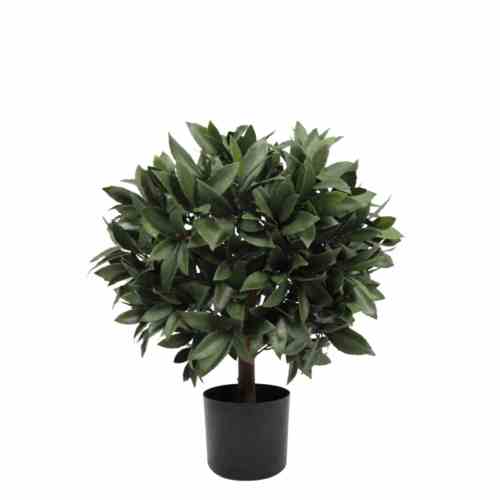 Bilde av Laurel Tree in ball Outdoor UV Protected Ø40 H67