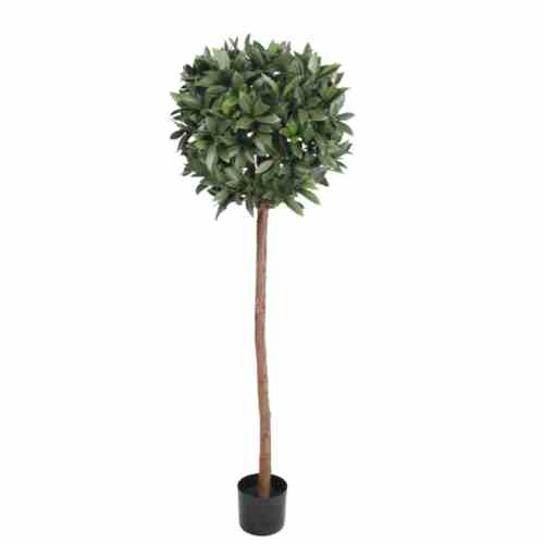 Bilde av Laurel Ball Tree Ø40cm Outdoor UV Protected H150cm