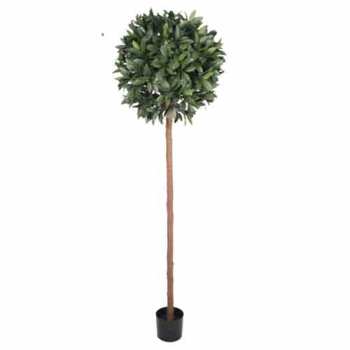 Bilde av Laurel Ball Tree Ø45cm Outdoor UV Protected H180cm
