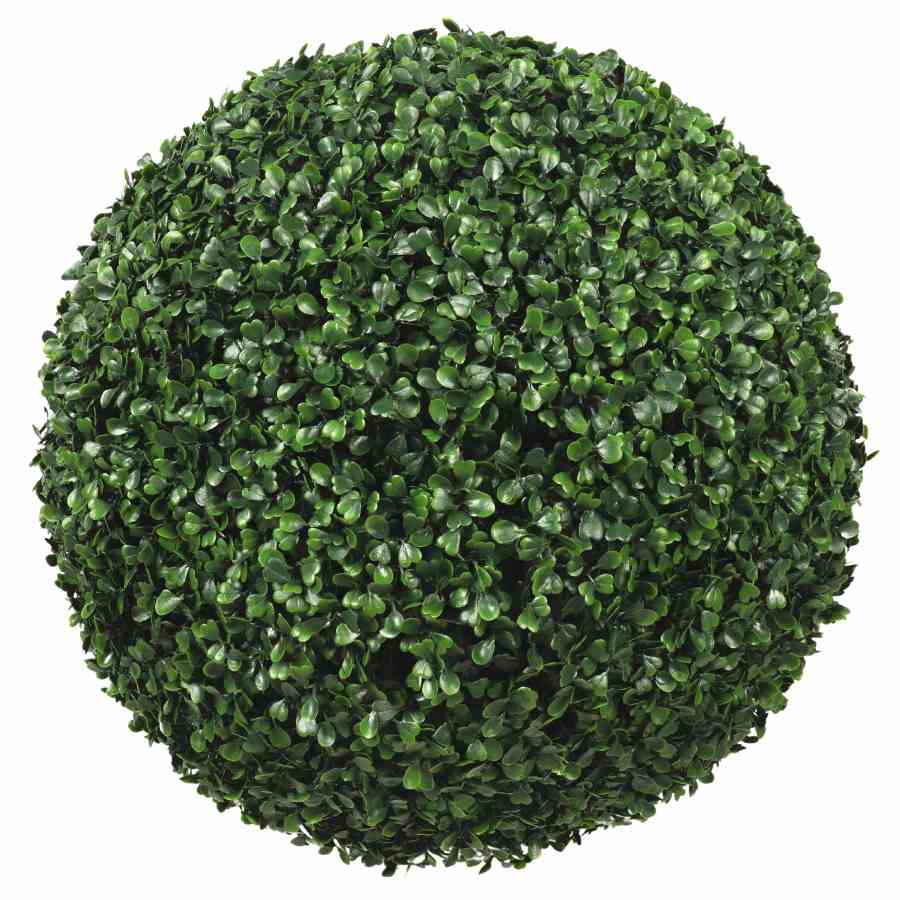 Bilde av Buxbom Ball Indoor / Outdoor