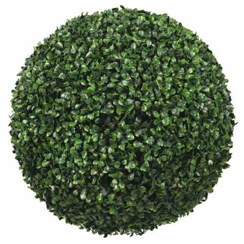 Bilde av Buxbom Ball Indoor / Outdoor