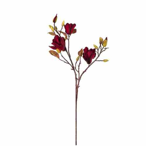 Bilde av Mognolia stem H105cm Red