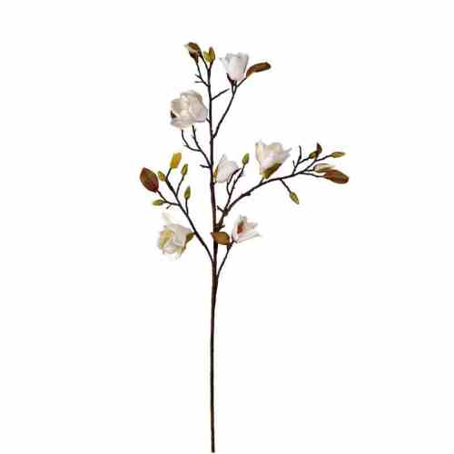 Bilde av Mognolia stem H105cm Cream