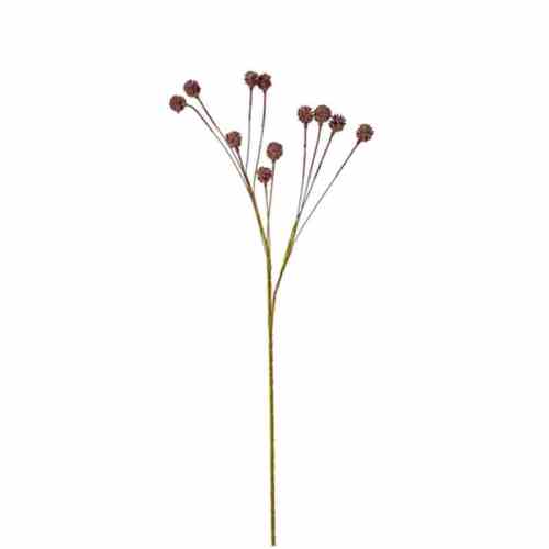 Bilde av Craspedia spray H84cm Coffe