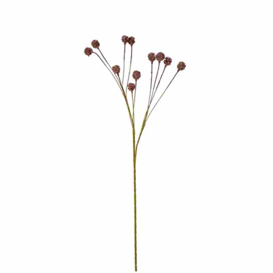 Bilde av Craspedia spray H84cm Coffe
