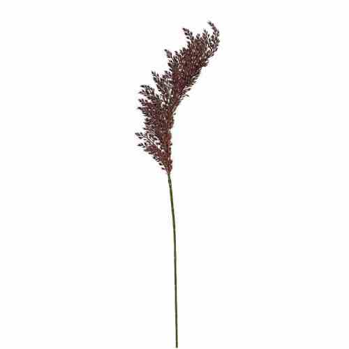 Bilde av Arundo stem H67cm Coffe