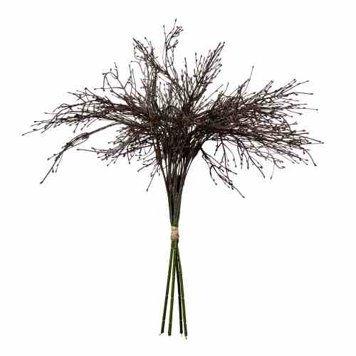 Bilde av Grass Bouquet H51cm Coffe