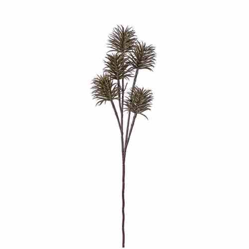 Bilde av Scculent Pinus Spray H74cm Brown