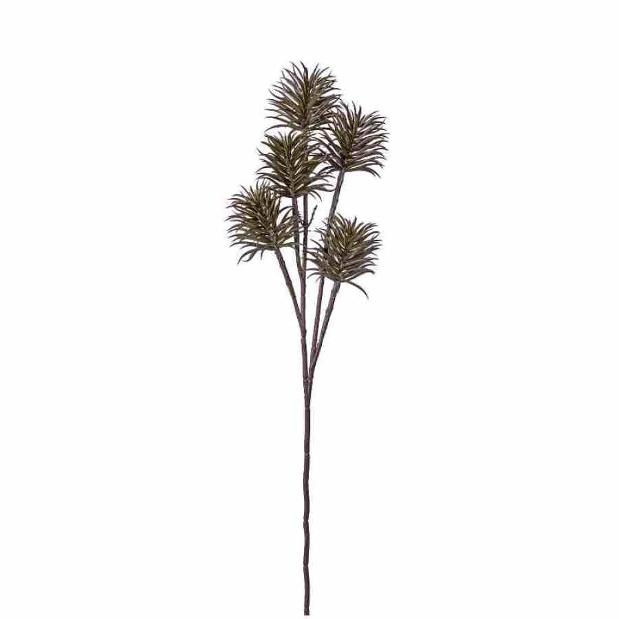 Bilde av Scculent Pinus Spray H74cm Brown