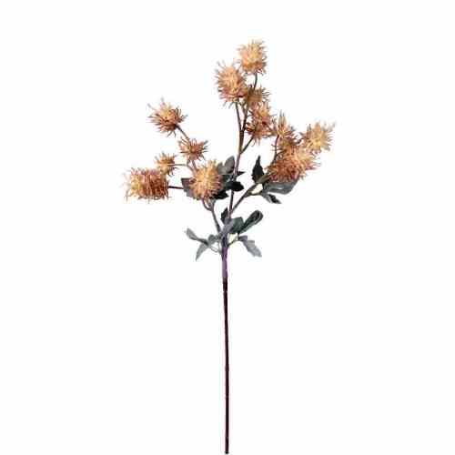 Bilde av Thistle stem H74cm Pink