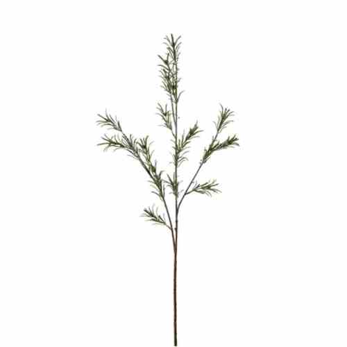 Bilde av Gladiolus Leaves stem H82cm Green