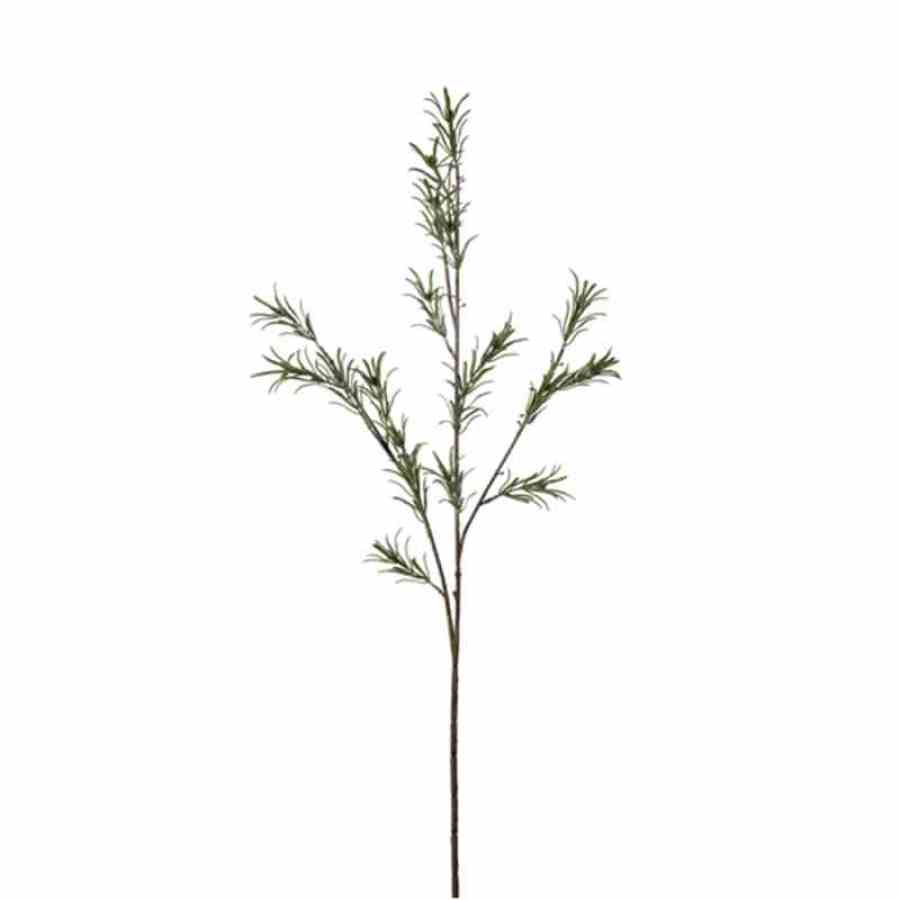 Bilde av Gladiolus Leaves stem H82cm Green
