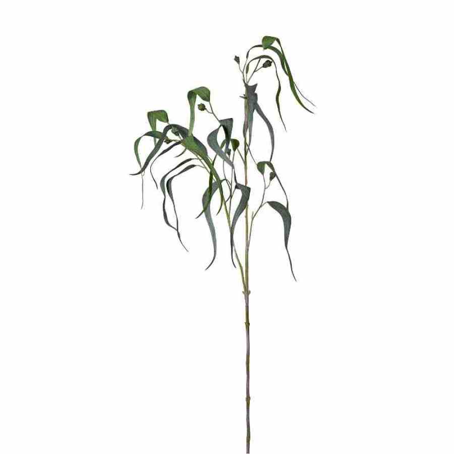 Bilde av Eucalyptus stem H122cm Green