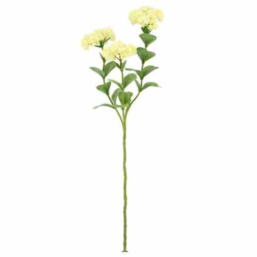 Bilde av Kalanchoe stem H 56cm Crem