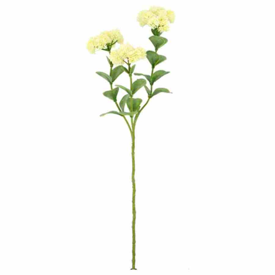 Bilde av Kalanchoe stem H 56cm Crem