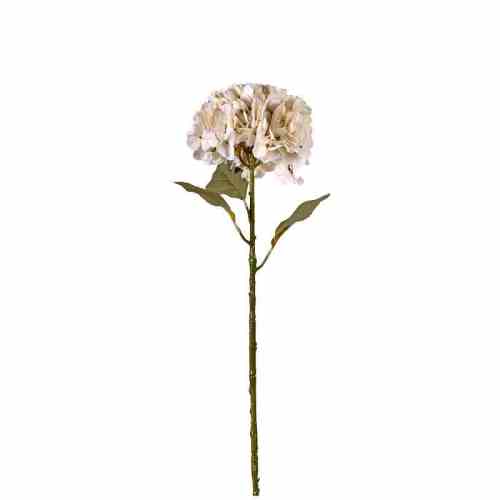 Bilde av Hydrangea stem cm White