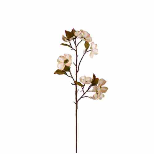 Bilde av Loropetalum Flowers stem L74cm Cream