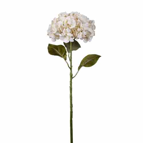 Bilde av Hydrangea stem H86cm Cream