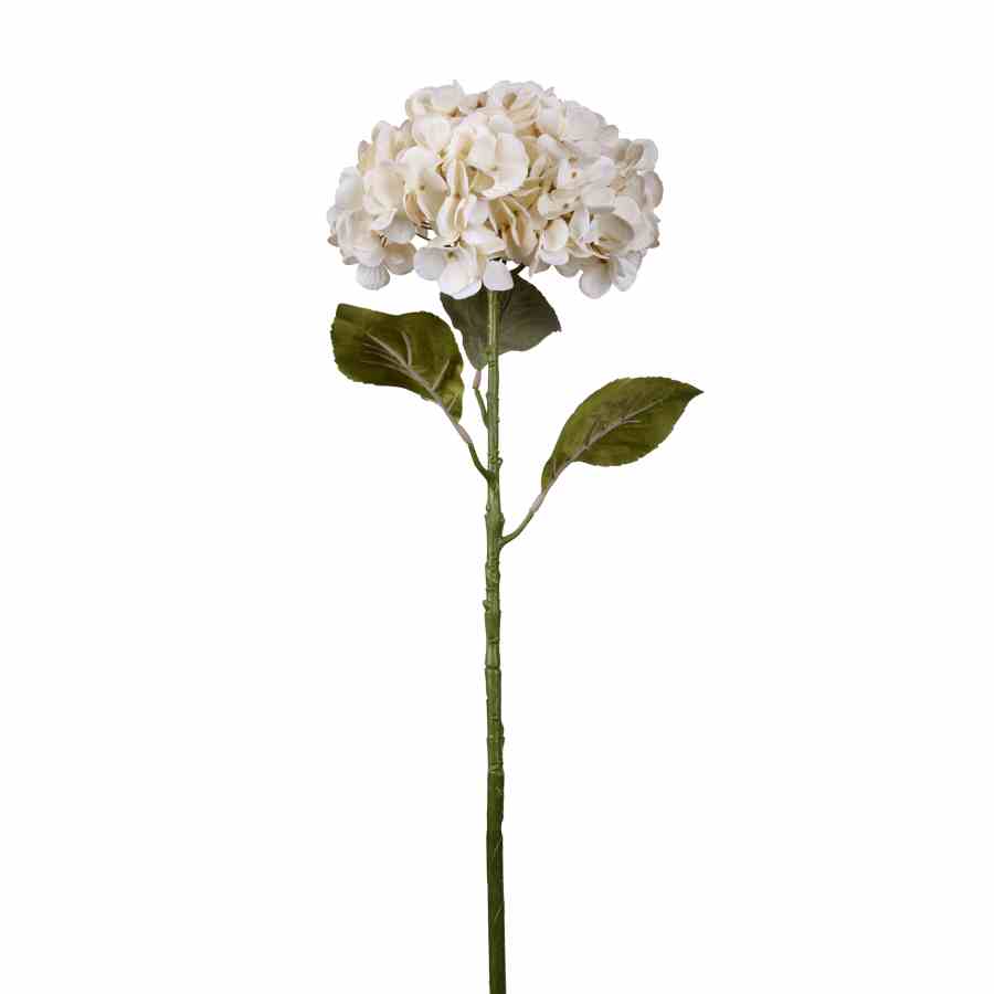 Bilde av Hydrangea stem H86cm Cream