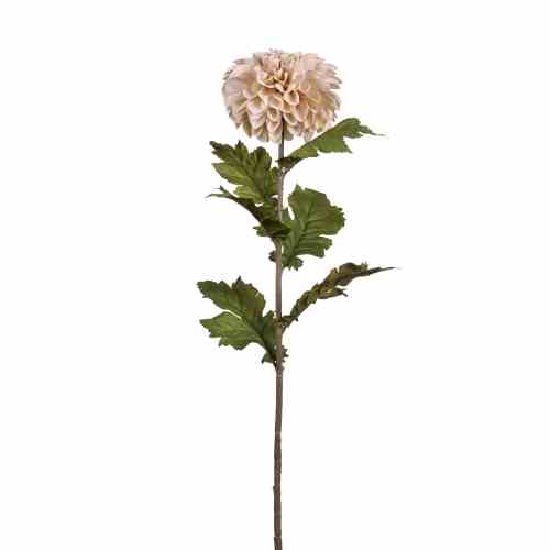Bilde av Chrysanthemum stem H75cm Cream