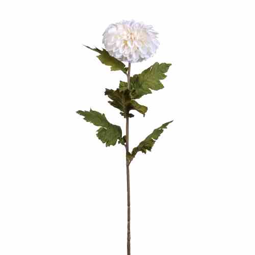 Bilde av Chrysanthemum stem H75cm White