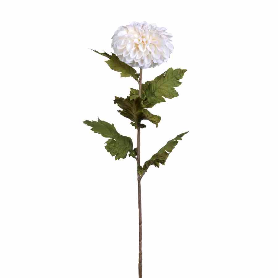 Bilde av Chrysanthemum stem H75cm White