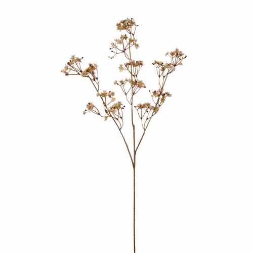 Bilde av Babysbreath Spray H58cm Cream