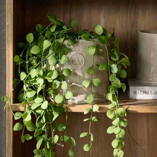 Portofino Planter L