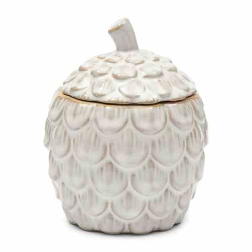 Pinecone Jar Decoration S